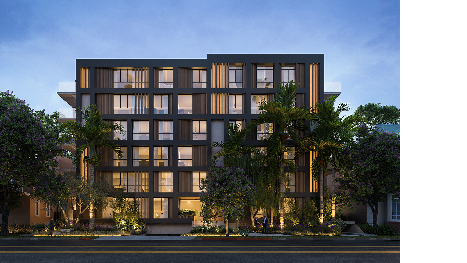 Mojave desert in the dark