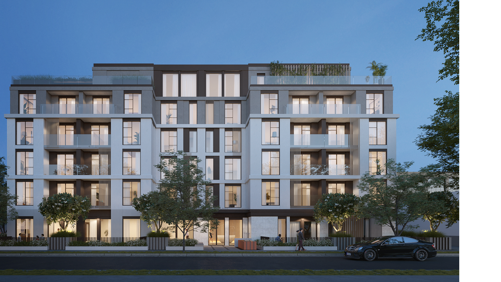 Mojave desert in the dark