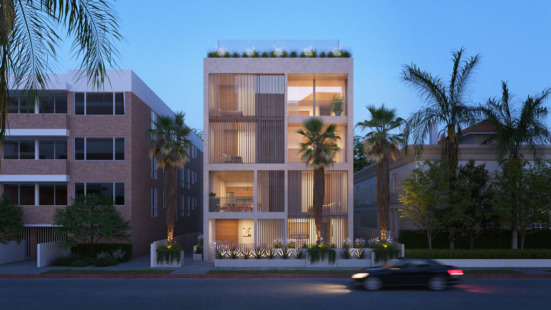 Mojave desert in the dark