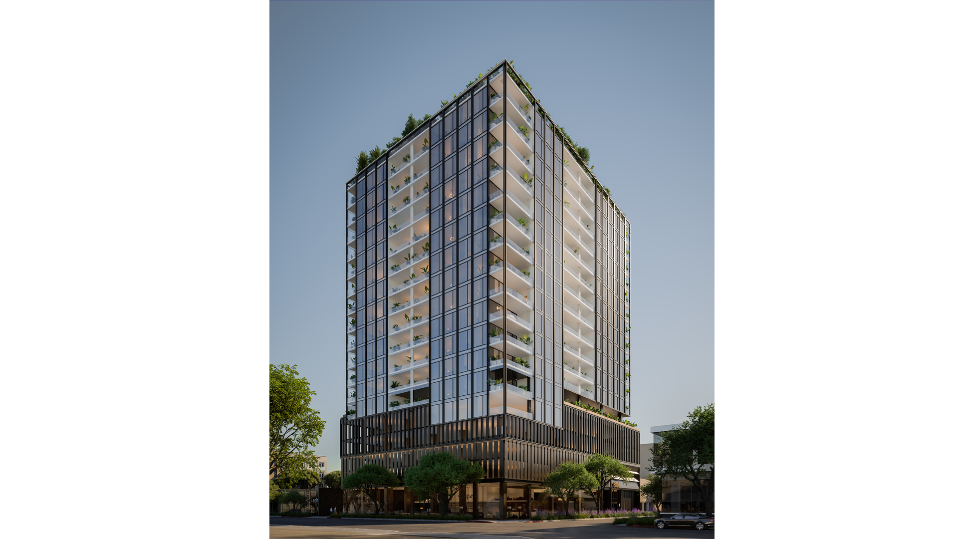 Mojave desert in the dark