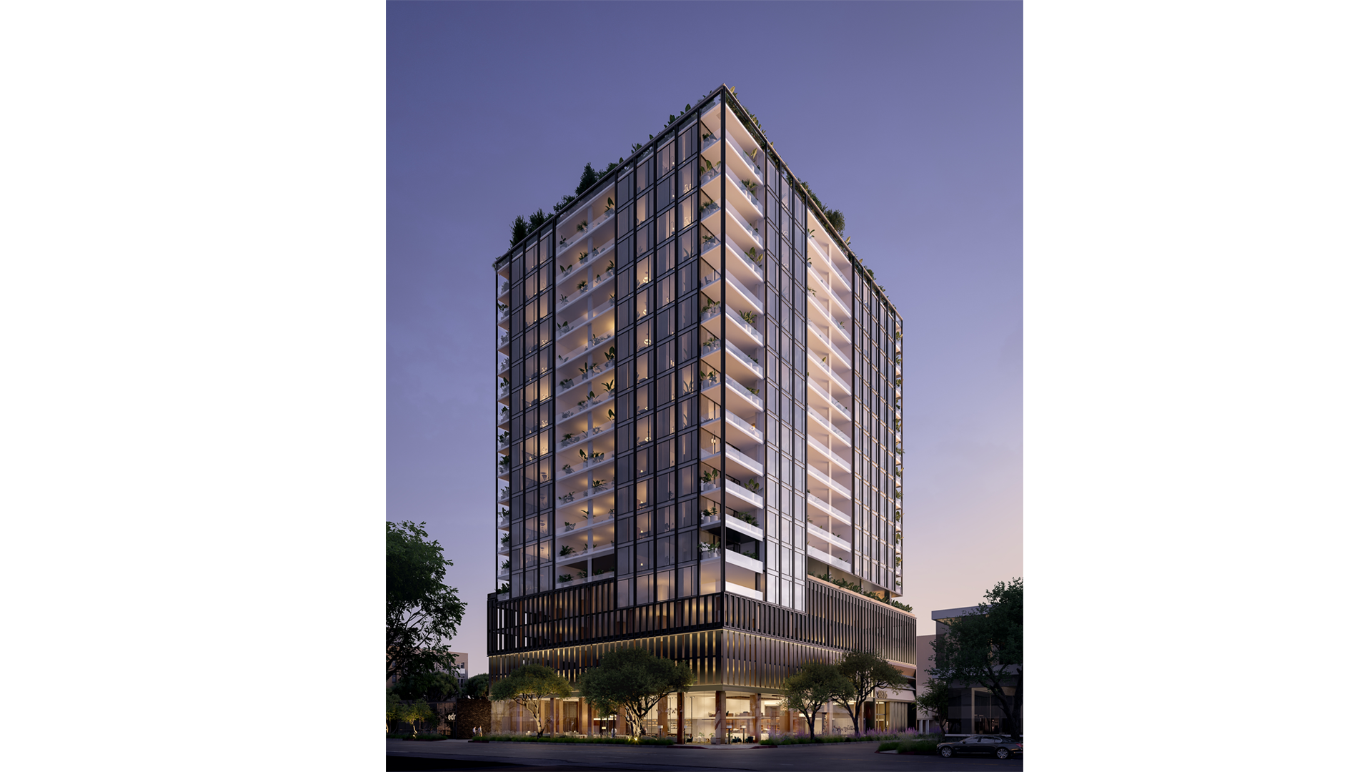 Mojave desert in the sun