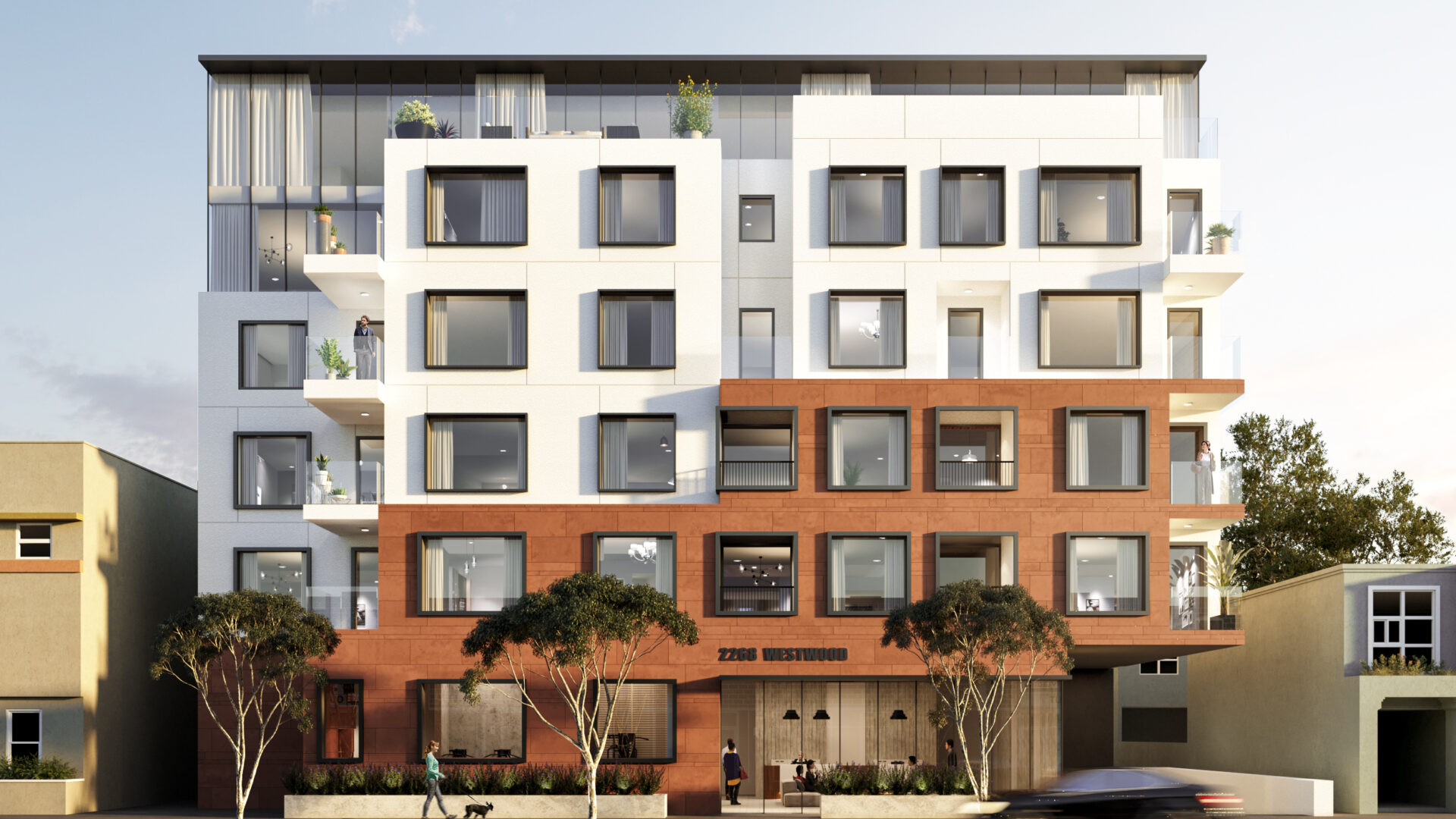 Mojave desert in the sun