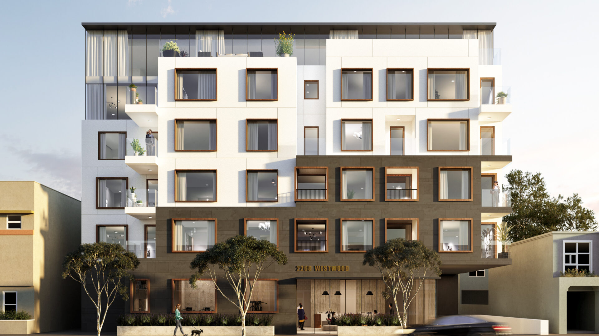 Mojave desert in the dark