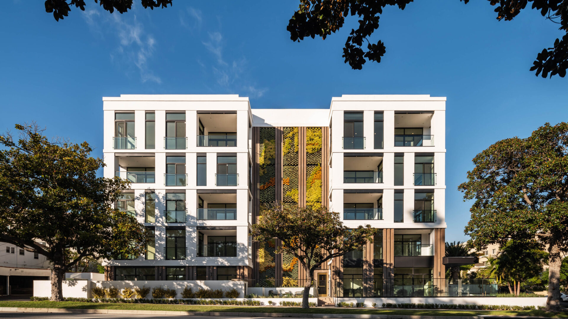 Mojave desert in the sun