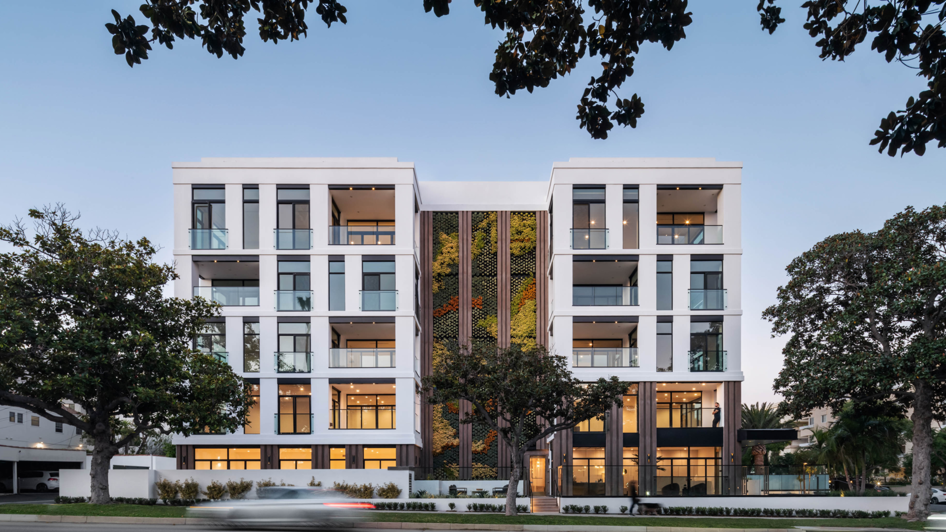 Mojave desert in the dark