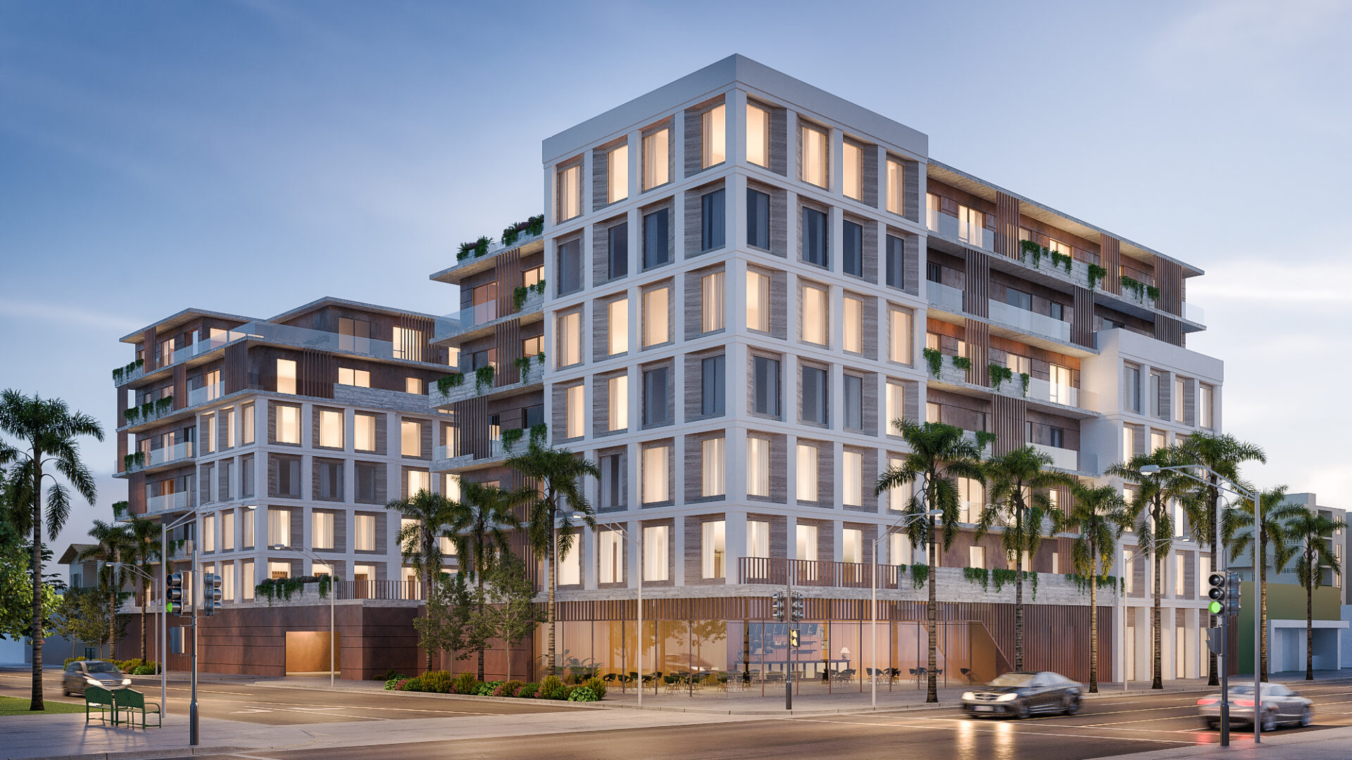 Mojave desert in the dark